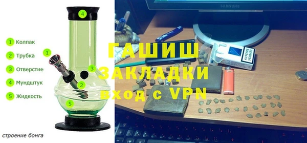 трава Гусиноозёрск