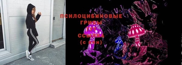 ПСИЛОЦИБИНОВЫЕ ГРИБЫ Гусев