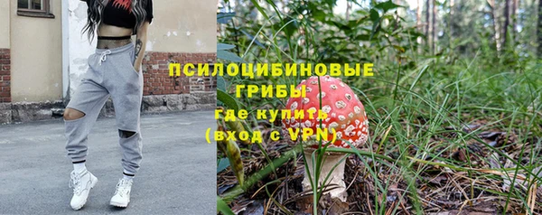 ПСИЛОЦИБИНОВЫЕ ГРИБЫ Гусев
