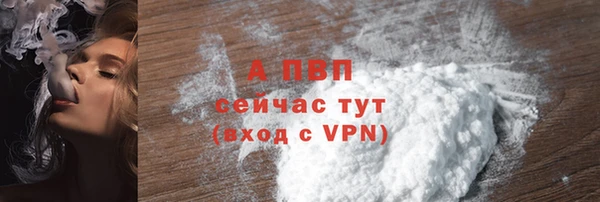ПСИЛОЦИБИНОВЫЕ ГРИБЫ Гусев