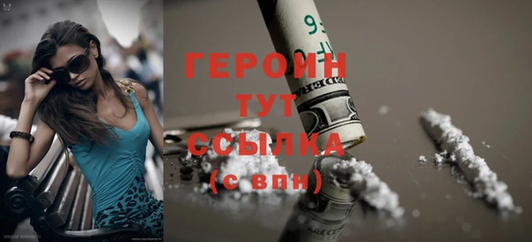 ПСИЛОЦИБИНОВЫЕ ГРИБЫ Гусев