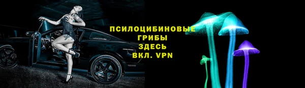 ПСИЛОЦИБИНОВЫЕ ГРИБЫ Гусев