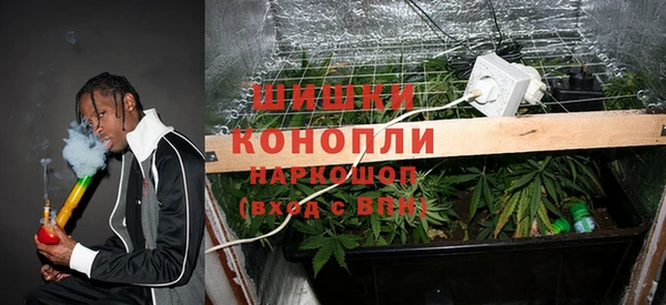 бошки Горняк