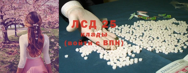 ПСИЛОЦИБИНОВЫЕ ГРИБЫ Гусев