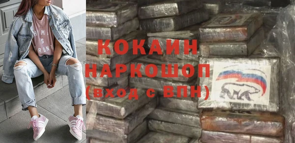 ПСИЛОЦИБИНОВЫЕ ГРИБЫ Гусев