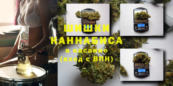 ПСИЛОЦИБИНОВЫЕ ГРИБЫ Гусев