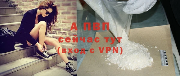 ПСИЛОЦИБИНОВЫЕ ГРИБЫ Гусев
